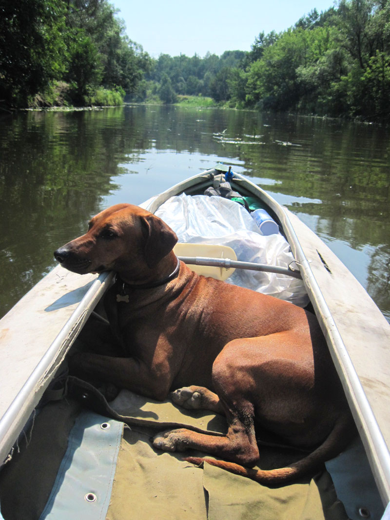 Зображення