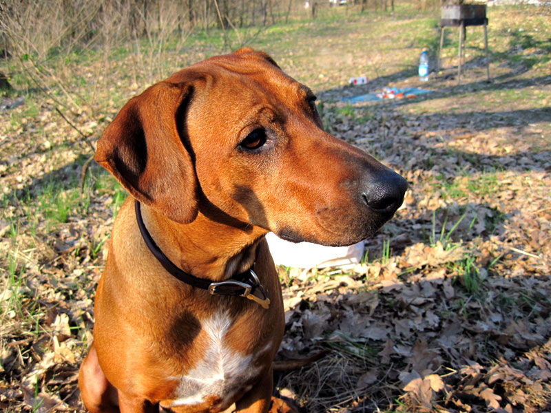 Зображення